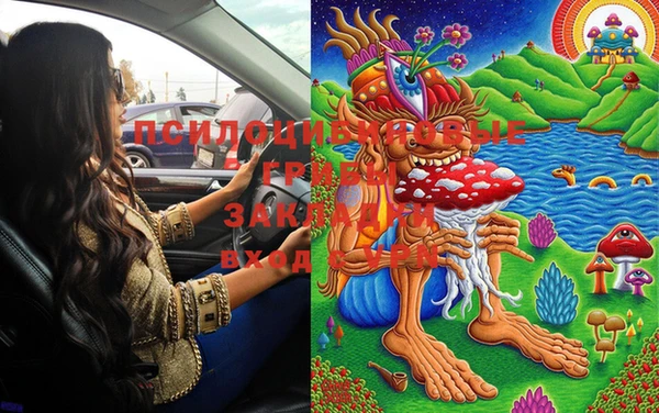 марки lsd Аркадак